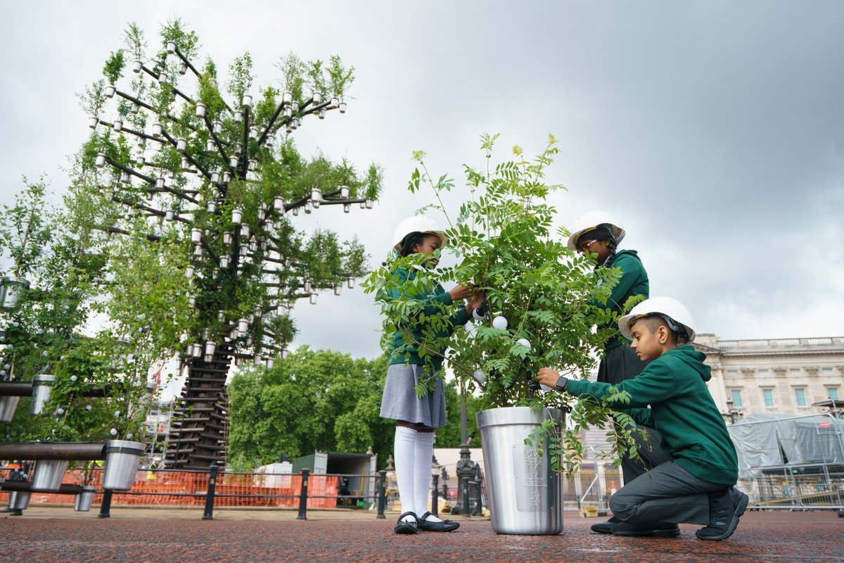 Today, QGC Junior Foresters from #Essex visited Buckingham Palace to help with final preparations of the "Tree of Trees"🌳

Alongside designer Thomas Heatherwick, the children put #trees into aluminium pots embossed with Her Majesty’s cypher🌱