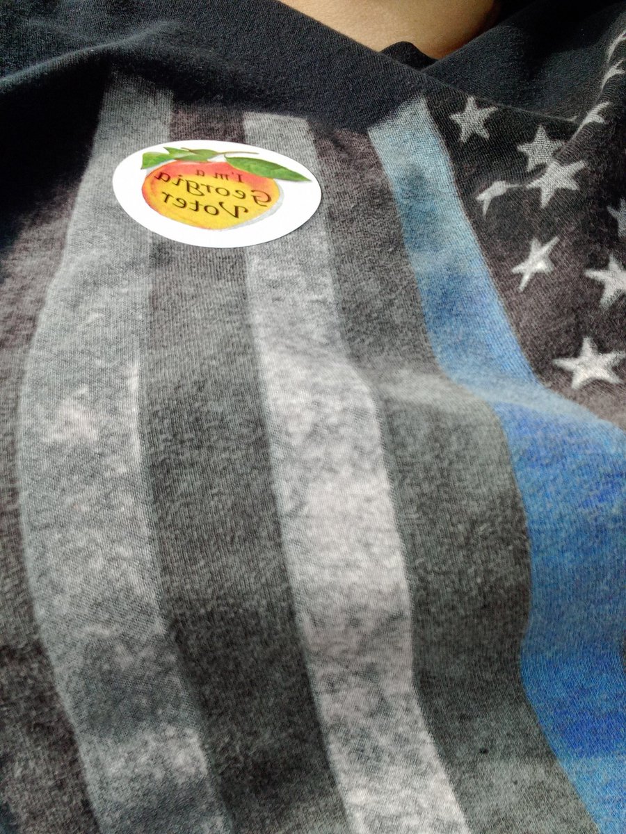 Ga Voter!