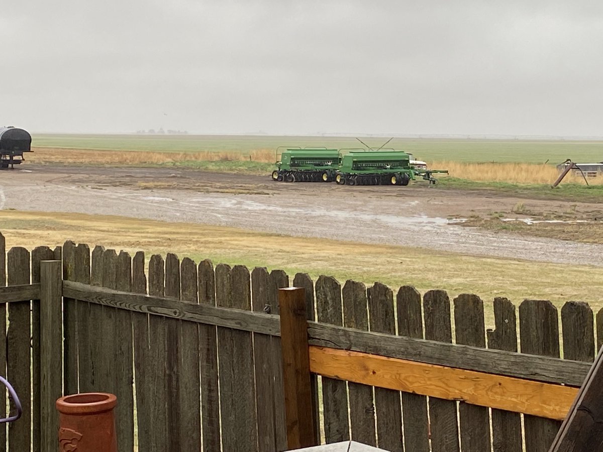 hbusch's tweet photo. We have puddles #TeamRainToday #HappyWheat #HappyCorn πβππ½ππΎ https://t.co/VbFr2Kh2Vv