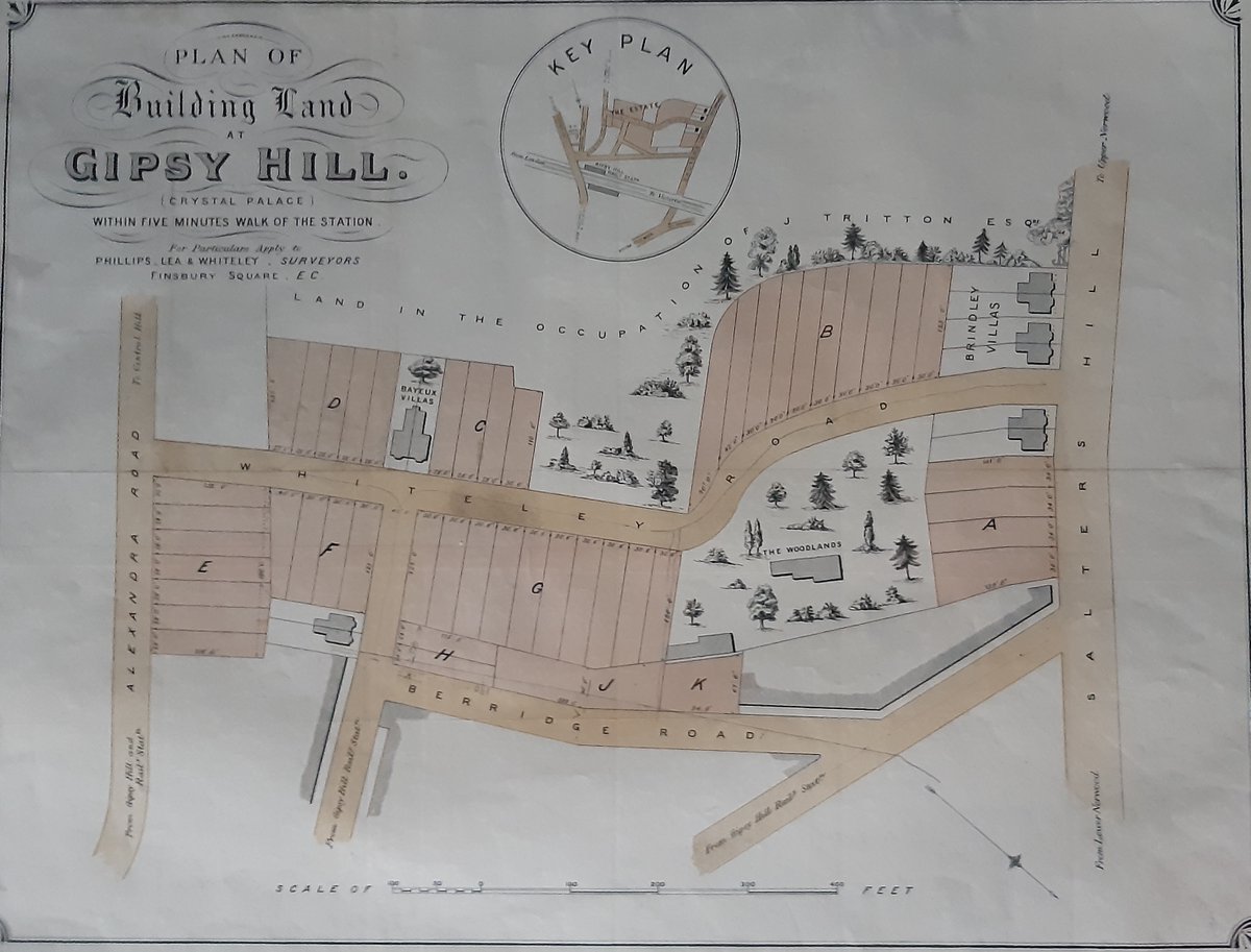 LambethArchives's tweet photo. Discovered this beautifully illustrated map today. Its a plan of building land at Gipsy Hill, Upper Norwood c1885. It shows Alexandra, Whiteley and Berridge Roads and some of Salters Hill. #maps #maplover #archives #norwood #se19 https://t.co/o1w4tO3nps