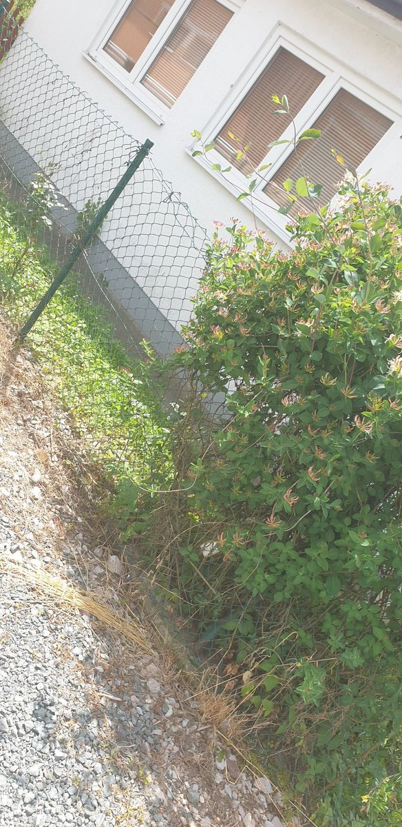 freiling_thomas's tweet image. 