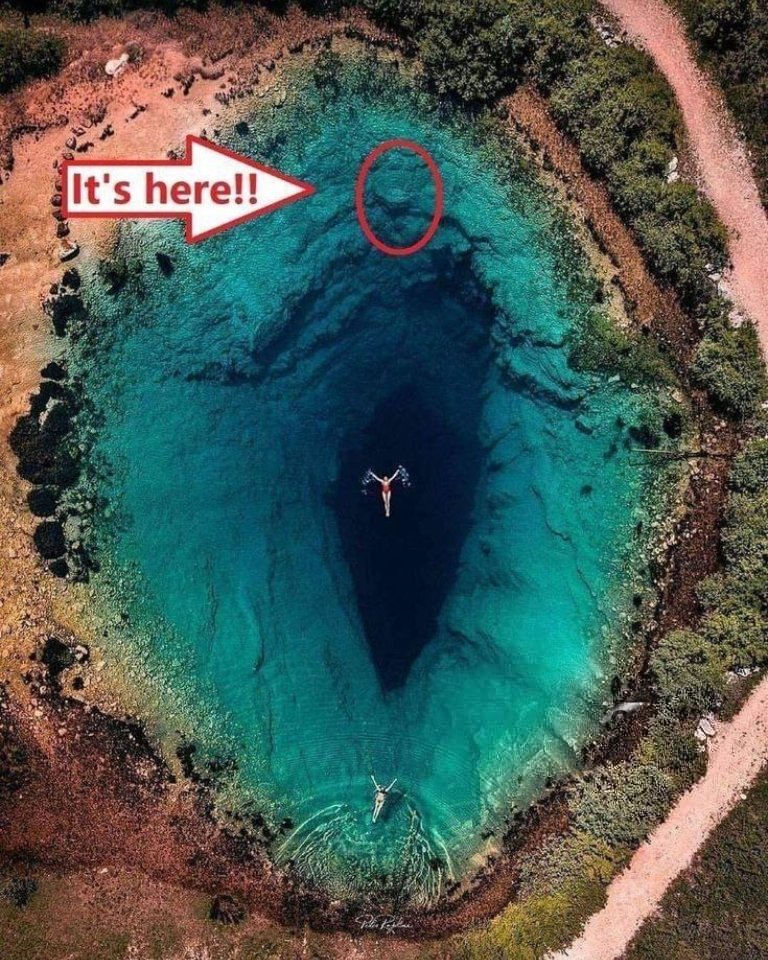 callmeAMlR's tweet image. جهت اطلاع رسانی !!!