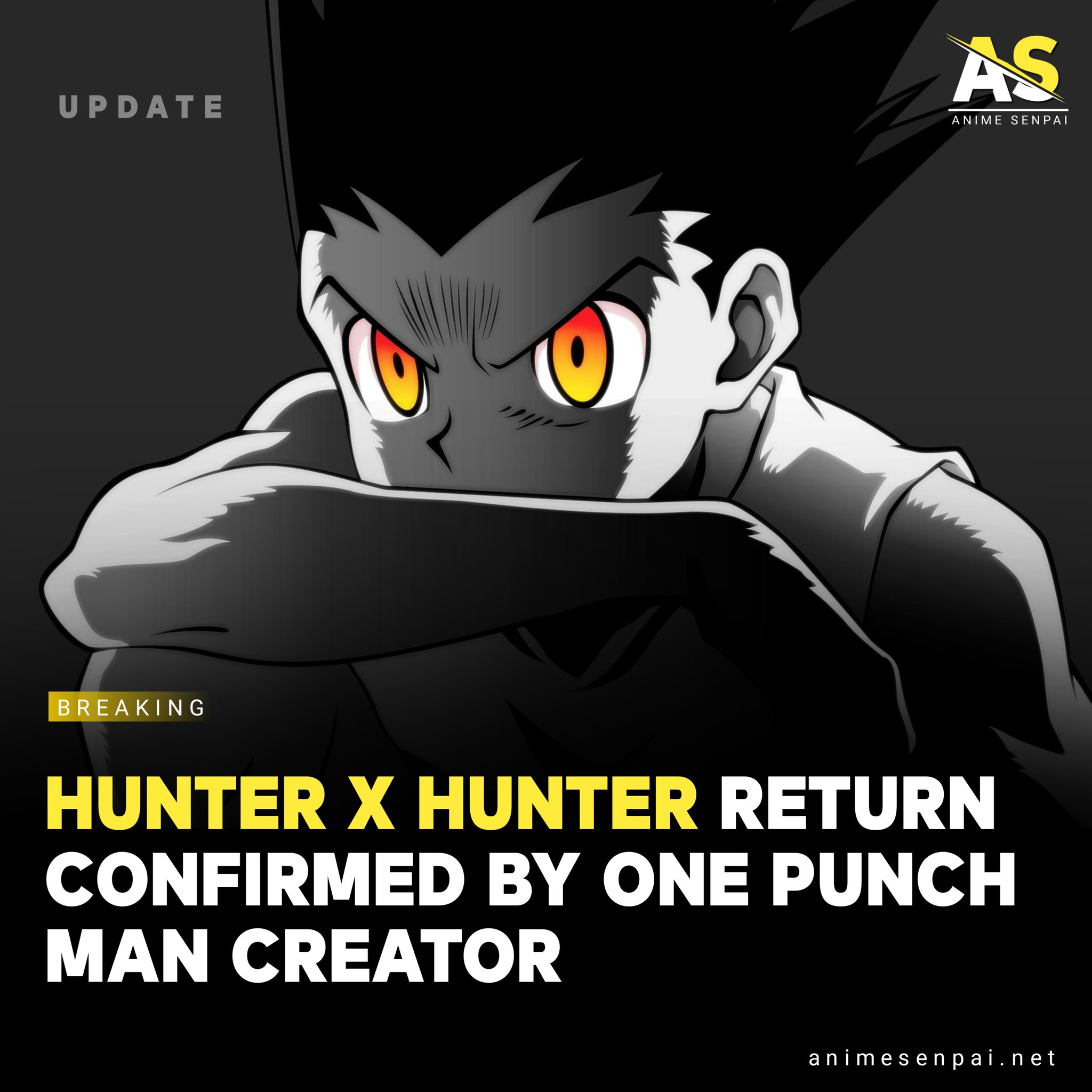 Anime Senpai on X: JUST IN: Hunter x Hunter series return has been  confirmed by the One Punch Artist via their Twitter handle! 😳 Source &  more details:   / X