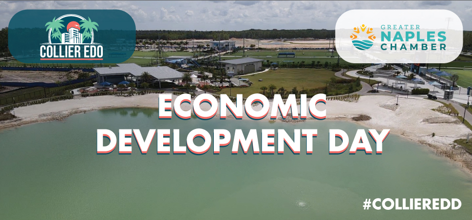 Collier EDO tweet media