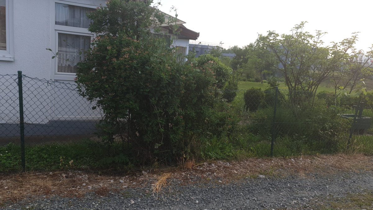 freiling_thomas's tweet image. 