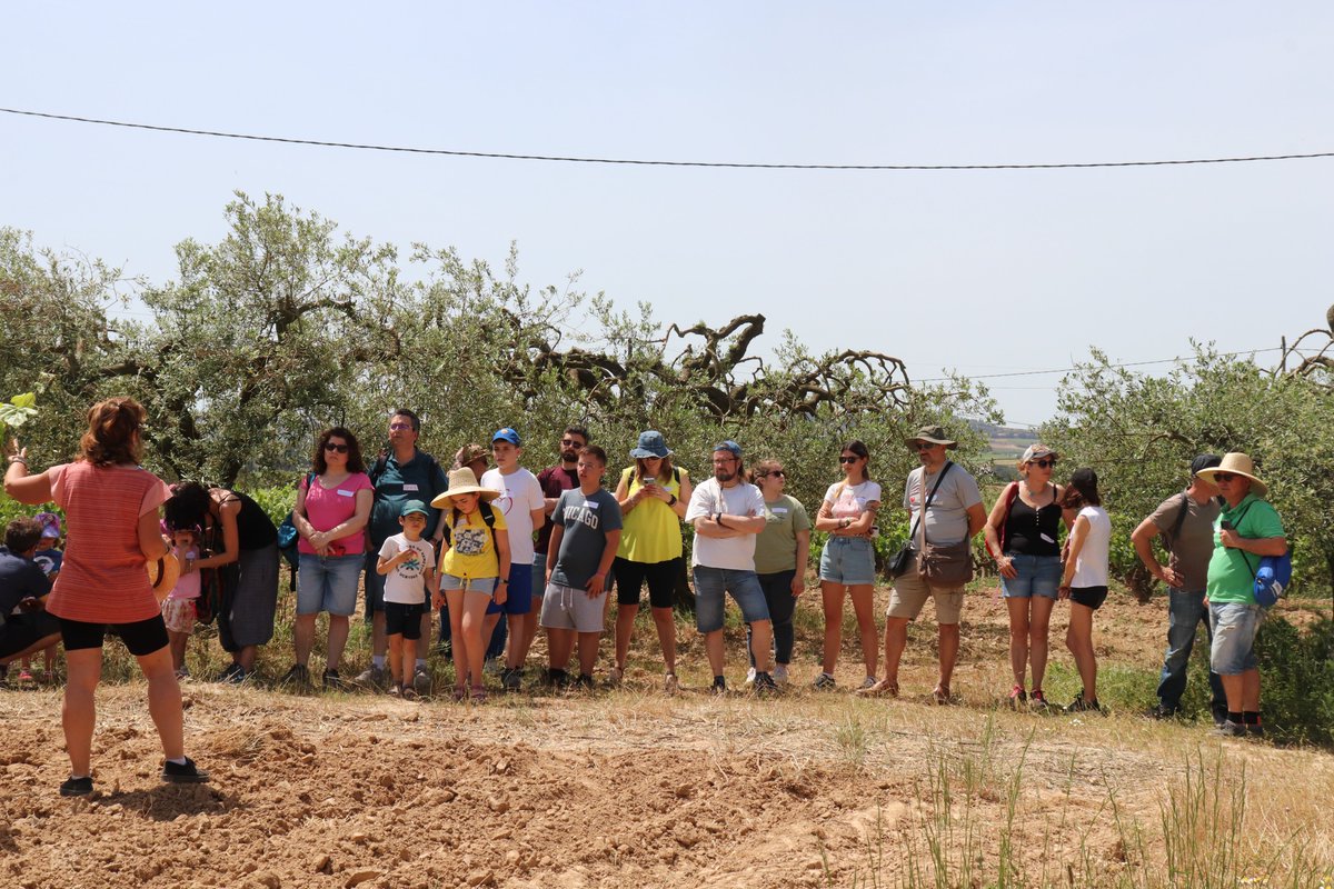 Coravant's tweet photo. Si vas venir a la Trobada ja saps algunes de les curiositats de les vinyes i els ceps que ens va explicar l'Anna durant el taller "De la terra a la taula". 

Per què hi ha rosers plantats als camps?⁣ Quant de temps poden viure els ceps?⁣ Quina és la profunditat de les arrels?⁣ https://t.co/ogdOAm9EEd