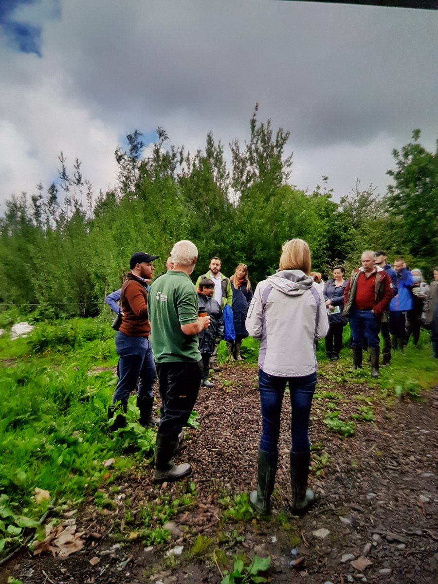 SkelligCRI tweet media