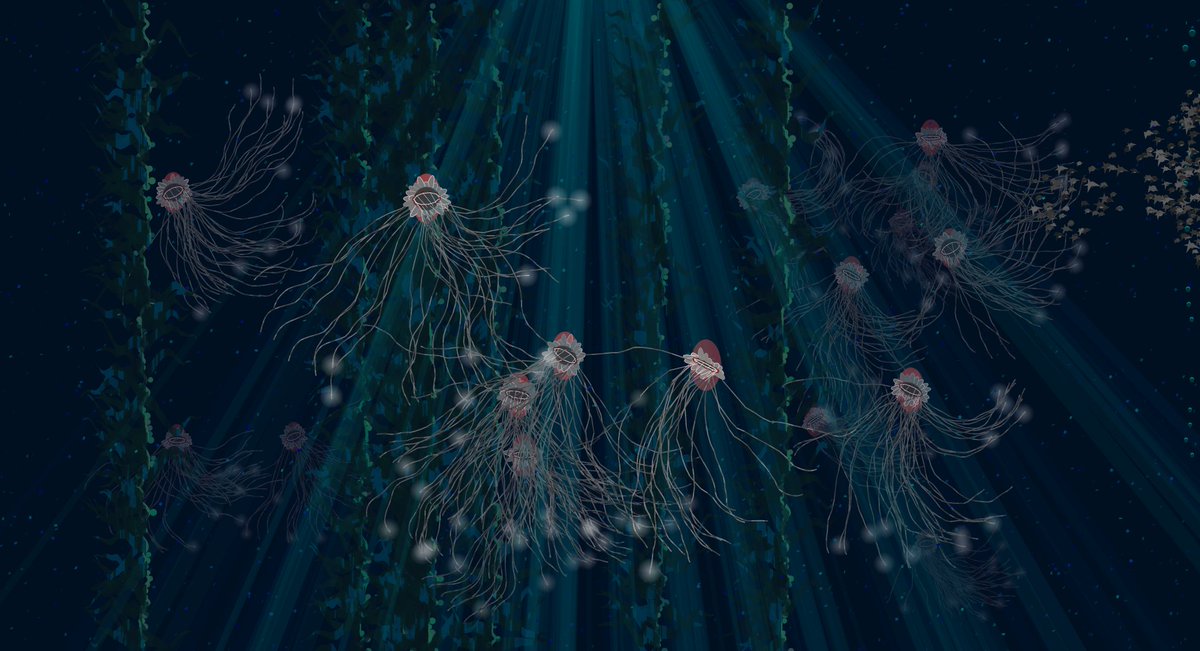 DrawMakeCode's tweet photo. GM!  I woke up and said, "Kelp.  It needs kelp."  
So, I got jellies, moonbeams, bubbles, fish school, plankton, kelp ... maybe some coral?  Is it getting too crowded?  
 #fxhash #p5js #nftCommunity #genart #fxhash #cryptoartist #nftart #generativeart #nftartist https://t.co/MkMAiQ7oxG