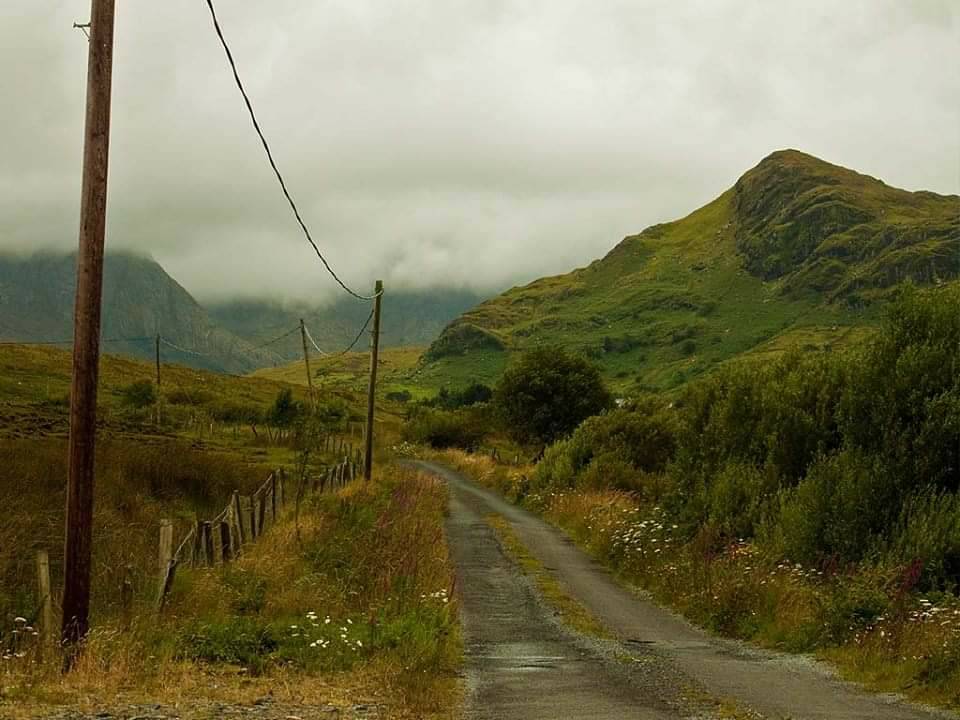 Real Adventures Connemara tweet media