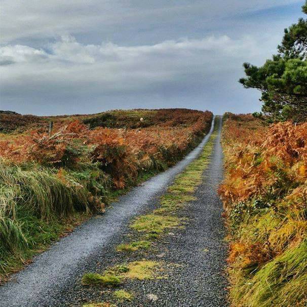 Real Adventures Connemara tweet media