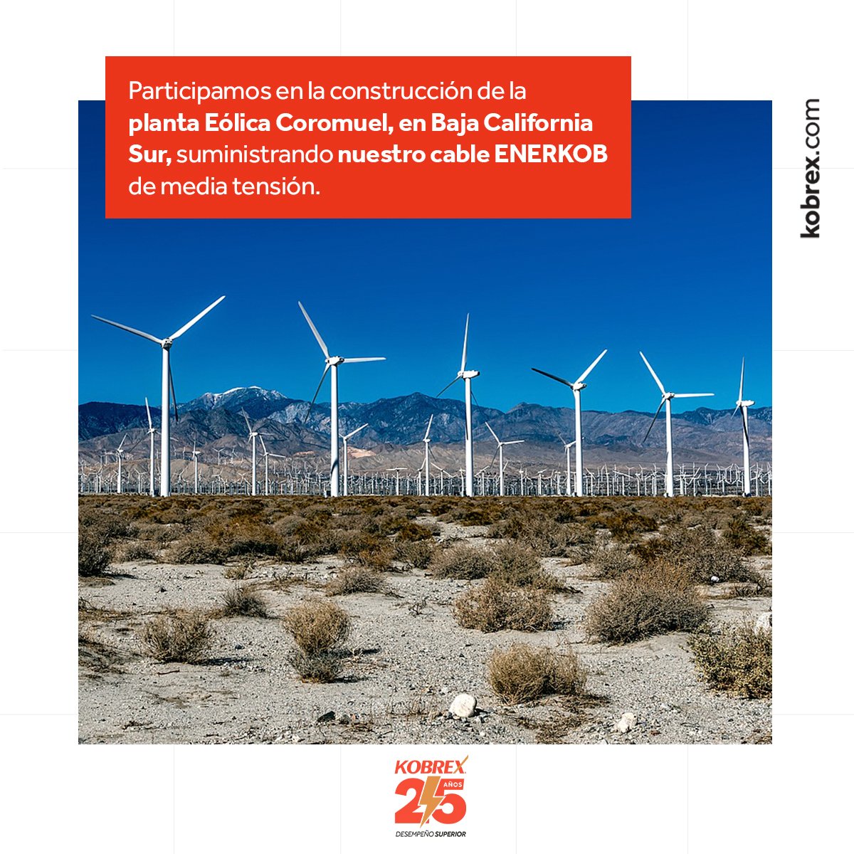 RankingCons's tweet photo. @KobrexOficial presente en proyectos importantes de energía.
#TopsConstrucciónyVivienda #TopsMéxico #Kobrex #Construcción #Vivienda https://t.co/7cWt3ODirC