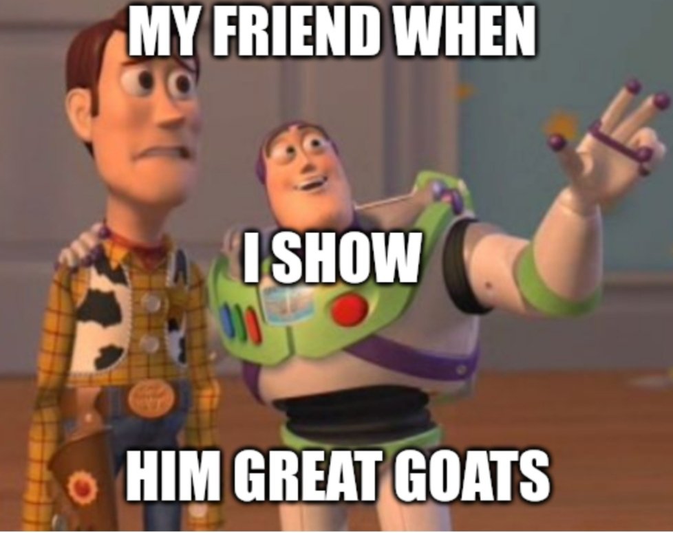 ninjanftpro's tweet photo. Looks my new meme guys 
@GreatGoatsNFT https://t.co/iklRILYpVE