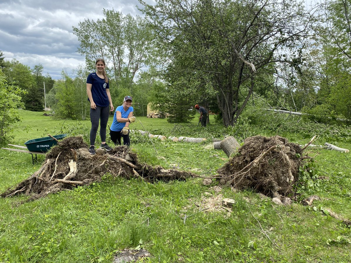 Sherri Rayner tweet media