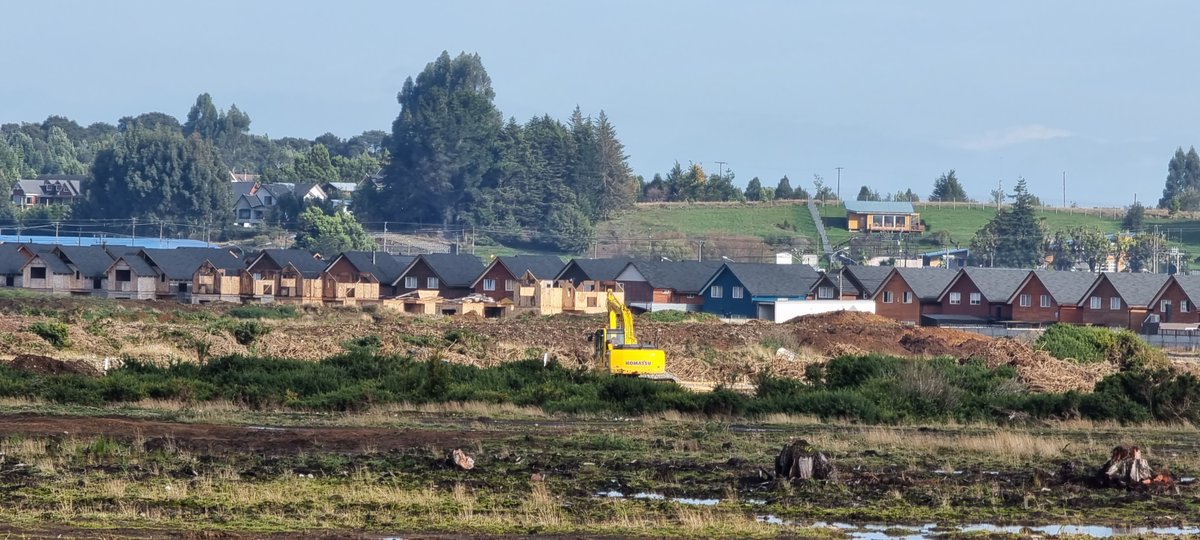 #PuertoMontt: SMA solicita al Tercer Tribunal Ambiental ⚖️ autorizar paralización de obras del “Loteo habitacional Parque Fundadores” por intervención en cauces y humedales. Esto debido a que la construcción ha intervenido el flujo de aguas de origen natural 🧵