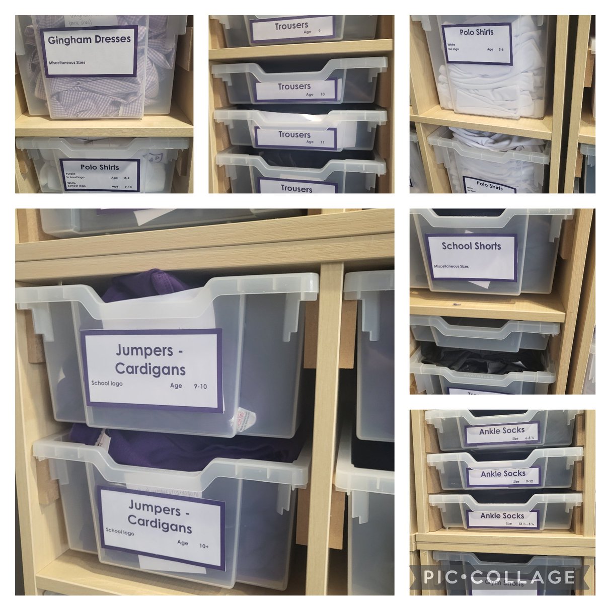 Glebe Primary School tweet media