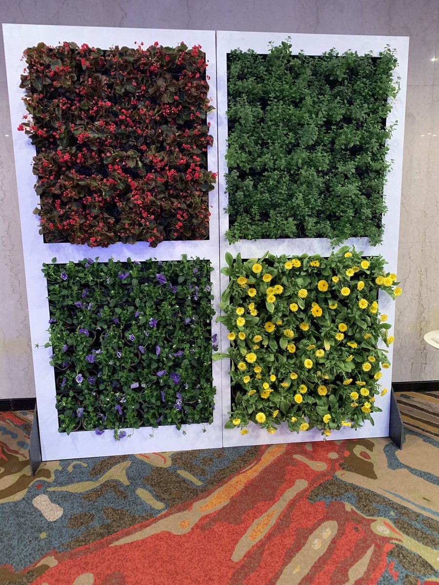 Hugo4PM's tweet image. #MSBuild