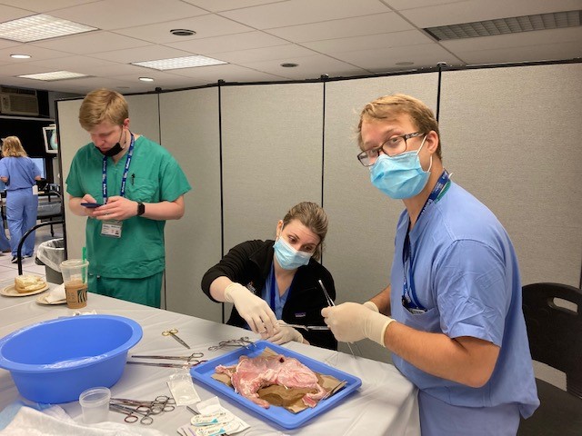 NYUGSOM_SurgRes's tweet photo. Name: Matthew John Pergamo, #PGY5
Hometown: Cold Spring, NY
Med School: @nyugrossman
Future Plans: @nyu_vascsurgery fellowship
#NYU Favs: The people I work with. Also, the cafeteria makes a mean turkey chili for lunch
Hobbies: Fishing and gardening
#ResidentHighlight #NYULangone https://t.co/42S2X8stiK