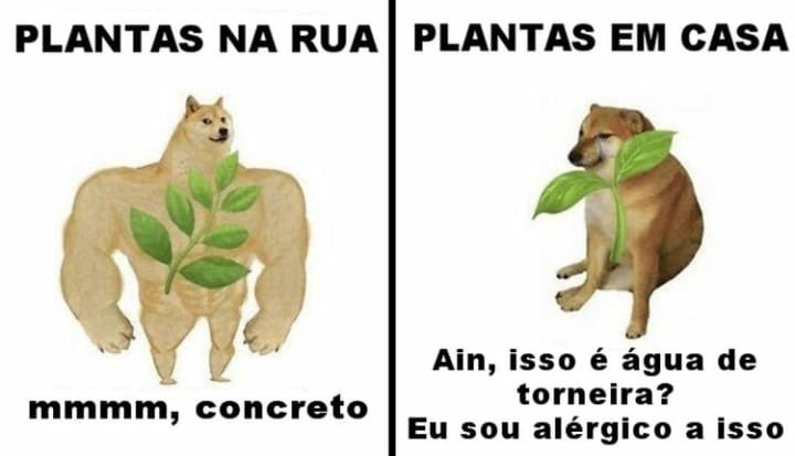 shitpostverdade's tweet photo. https://t.co/uqa8g3Gop0