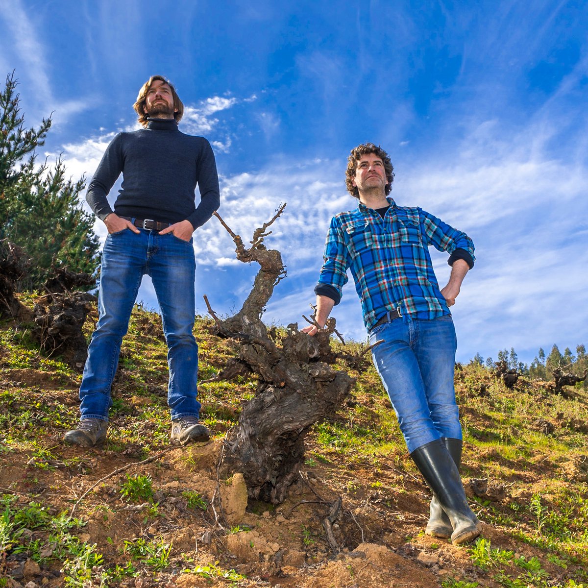 polanerselect's tweet image. It is a great honor to announce that we will soon have the first release of a new project from Sebastian and Marco De Martino called Ungrafted.  There will be 4 wines - 2 from Isla de Maipo (Carmenere and Cab) and 2 from Itata (Muscat and Cinsault).