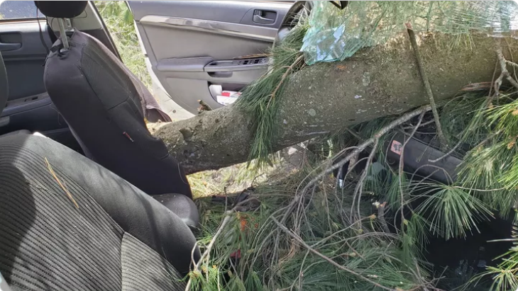 UnderworldLARP's tweet photo. Once again, we call for aid! Our Ottawa guild was in mid game when they were besieged by a derescho / tornado. Everybody is safe but they took a beating. We've offered to help crowdfund a bit to get them back on their feet. #larp #ottawa #underworldlarp https://t.co/u1Rstjcy0e https://t.co/bxIlGh3eWU