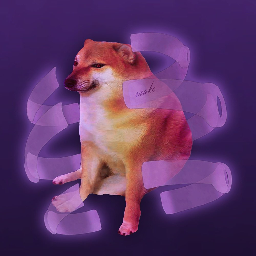 lowkeyfr's tweet image. 