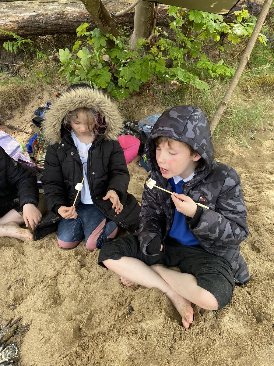 MissThomsonVPS's tweet photo. What a treat - thank you Kenny! The pupils were experts in this area - advising us that golden brown is the colour you are looking for if you would like a perfectly toasted marshmallow. Delicious. #VPSoutdoorlearning #VPSfun @PolarJuniors https://t.co/dbK8JDSUE2