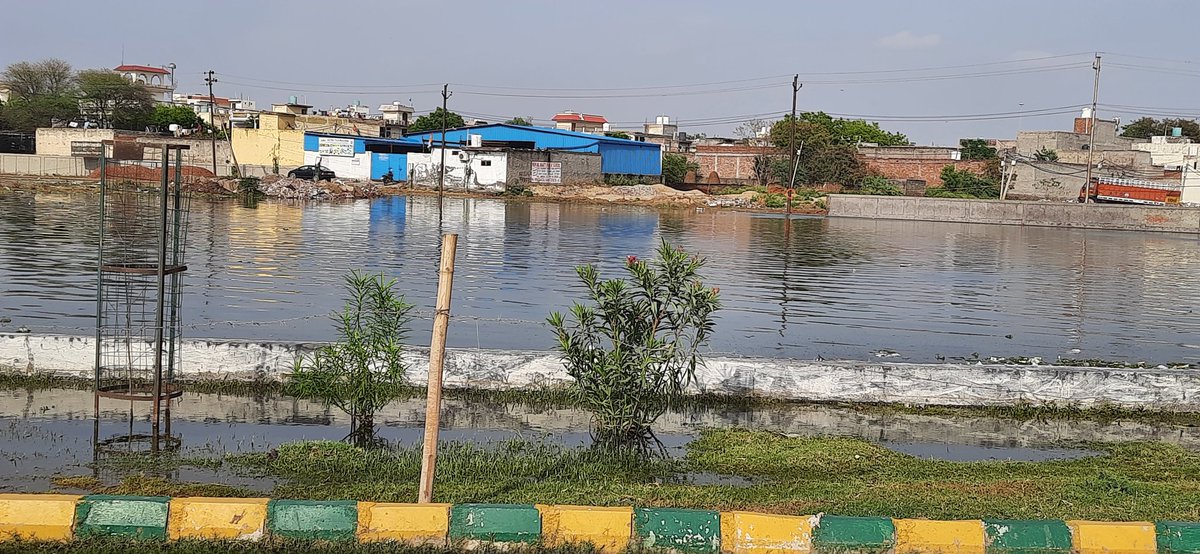 dearviveksingh's tweet image. @OfficialGNIDA @iassurendra @dmgbnagar Centre Noida inviting Mosquitos in their open muddy pool. A big dirty water pond infornt of sec 77 and in Sec 117 &amp;amp; 116 and noida authority is claiming for cleanest city. Please help ! वहां जमा हुआ गंदा पानी हजारों मच्छरों का घर बना हुआ है।