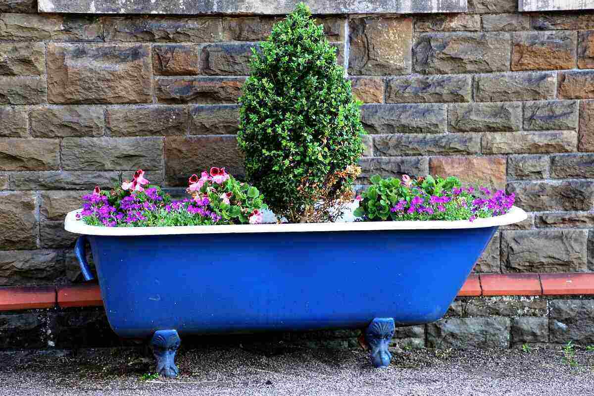 JayFlexx's tweet photo. Which of these budget-friendly #landscaping ideas will you try first? #hometips  https://t.co/FYNZ1WMKiN https://t.co/pW8kygg8B6