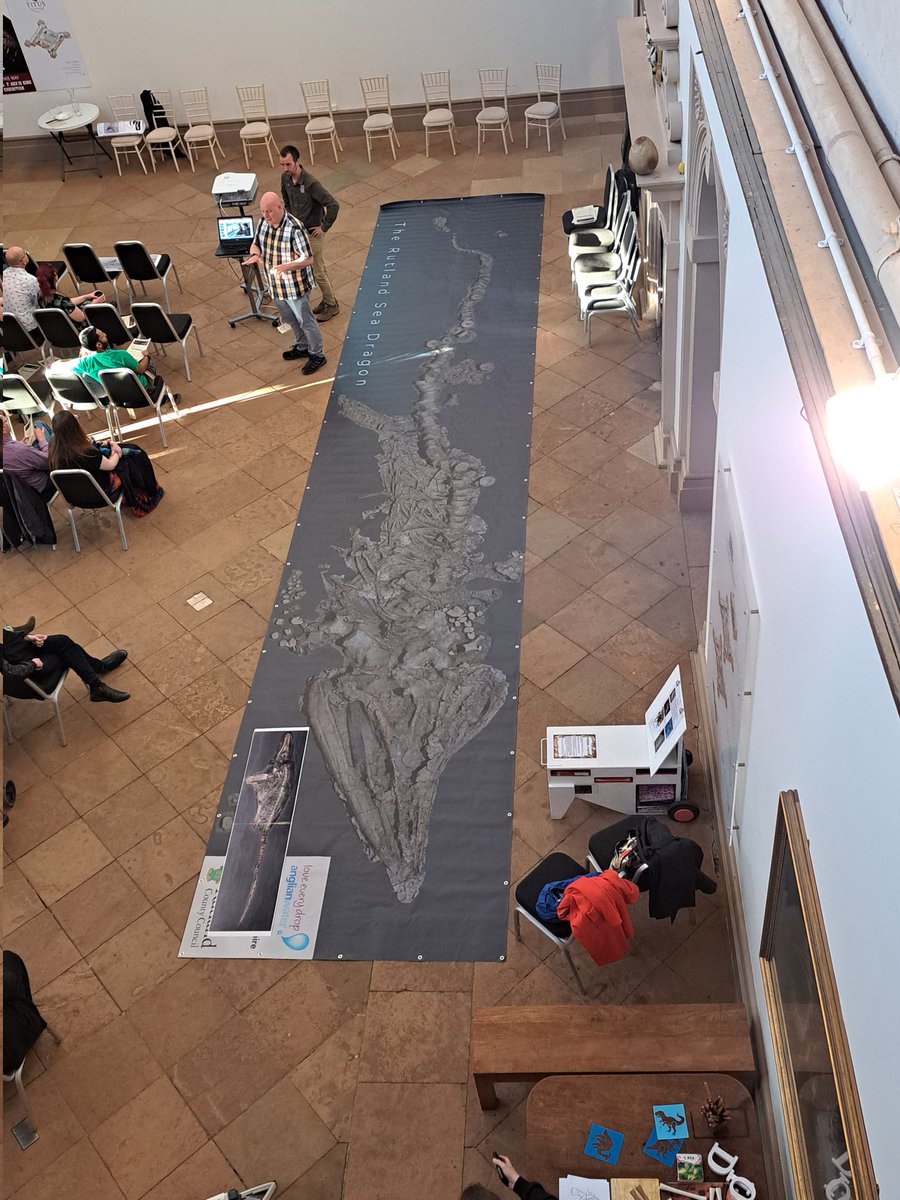 Sue_Mallender's tweet image. The Rutland ichthyosaur visits @WollatonHall @AdamStuartSmith @JCTArtStudio @George_Gorilla @NCMGlearning Prehistoric Secret Science Show