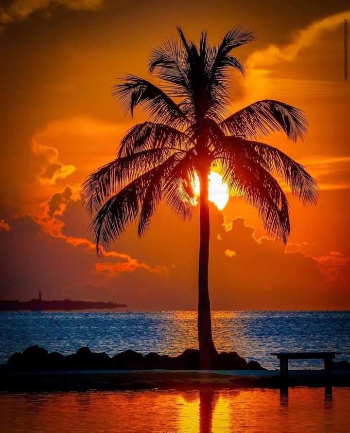 Sari_Friends1's tweet photo. 🔴 BEAUTIFUL EVENING 💛🔴🧡
#naturelovers #nature #NatureBeauty https://t.co/M6lJPGOevW