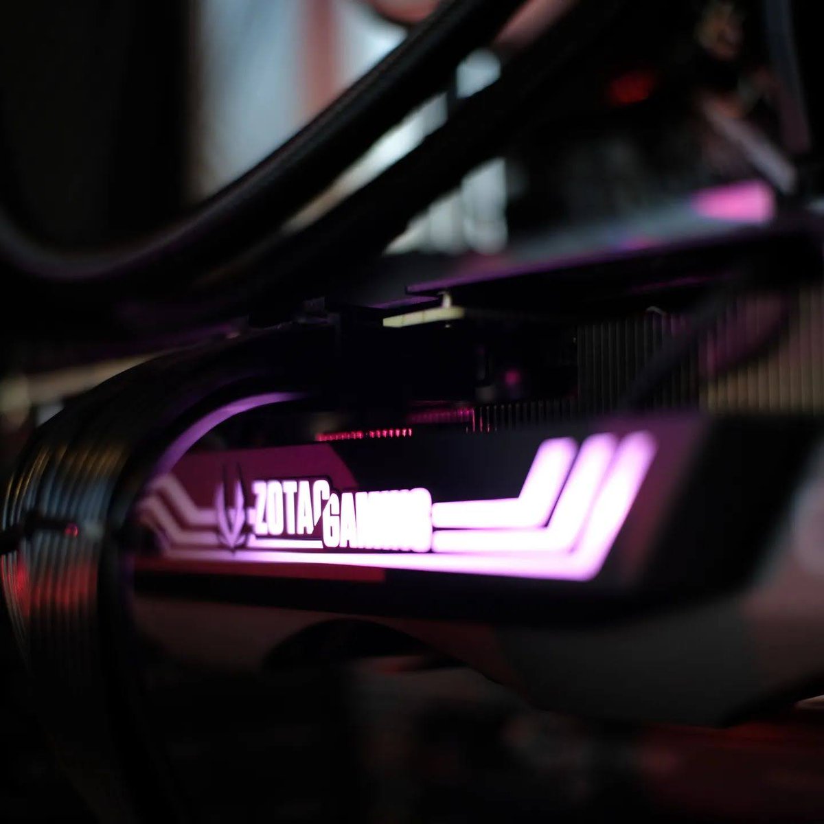 ZOTACRussia's tweet photo. Розовый красавец! 🌸

#ZOTAC #ZOTACGAMING #Tech #PcHardware #PcComponents #PcBuild #GamingPC #RGB #Pink #CherryBlossom #Sakura https://t.co/ZrdXjLhSfM