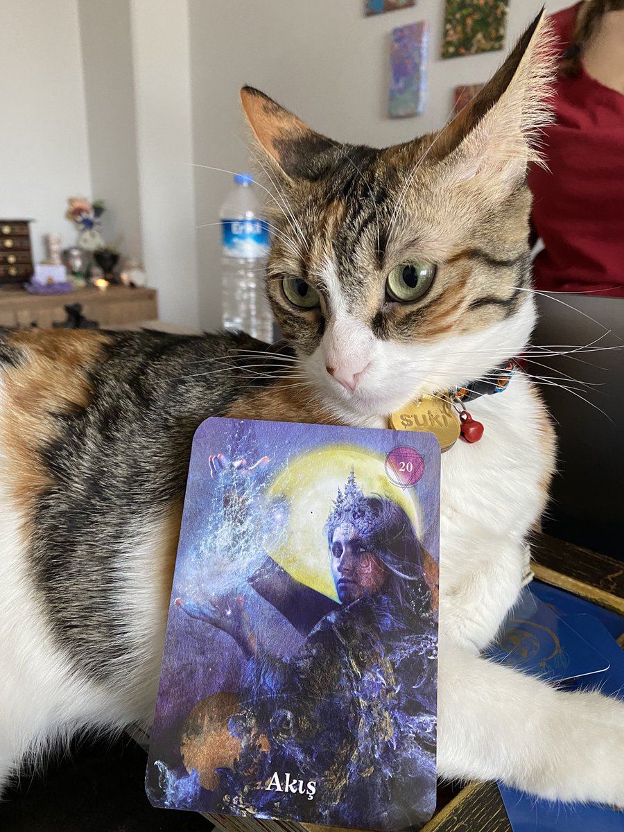 niyed keddysi gelmisdir bu da niyedim: