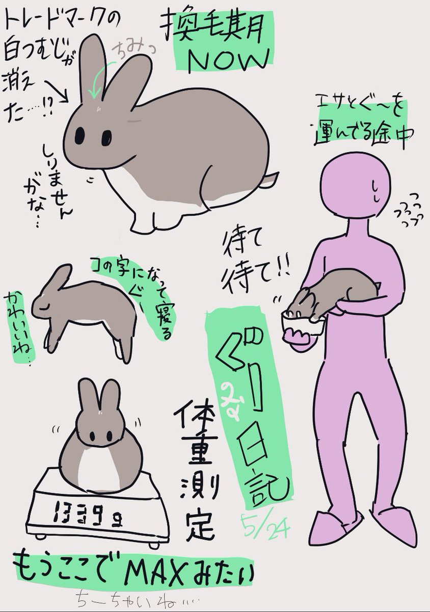 ぐっ日記 土曜日に ' 電車の中で描いた 