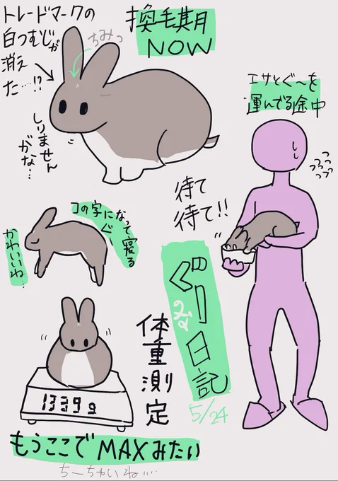 ぐっ日記 土曜日に ' 電車の中で描いた 