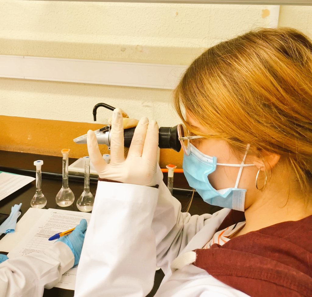 QEscultor's tweet photo. 1°#laboratorio de @iesescultorjuan finaliza con #propiedades #opticas:
#Refractometría 🔬
#Polarimetría 🔭 para sustancias ópticamente activas (con C asimétrico)
1️⃣ #Calibrado a partir de disoluciones patrón
2️⃣ Se interpola el resultado de mezcla problema para saber concentración https://t.co/3xjGe06oJH