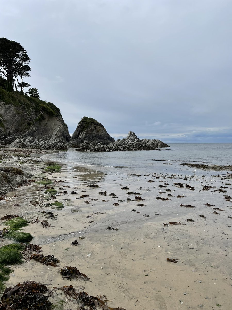 Tedmundcoates's tweet photo. Sea view from our seaside pad #minibreak https://t.co/Y62Aj8Zo92
