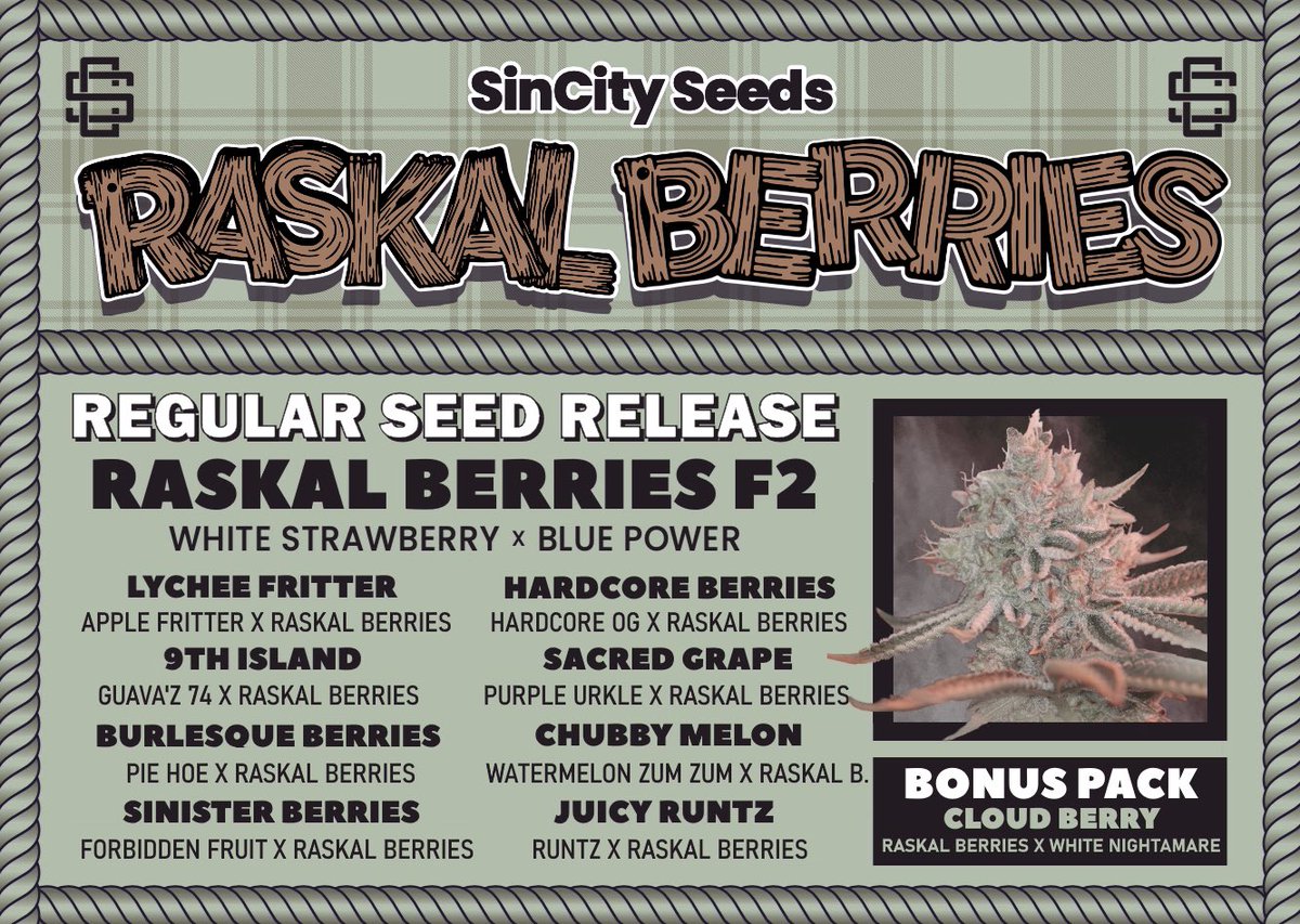 Raskal Berries Regular Seed Release!! Friday May 27th it’s going down 🙌 sign up to our newsletter for complete drop details sincityseeds.com/newsletter
