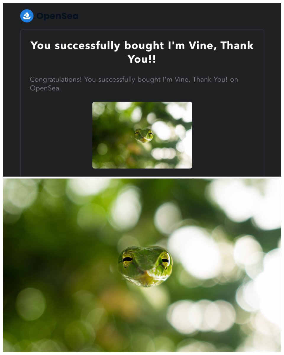 Just collected this beautiful piece from amazing @pranay_eth !✨
He is one of the most positive people I have ever met in my life! But I feel that underneath all this positivity there is a very sensitive person.And so glad I got to know this awesome character! Love you brother❤️