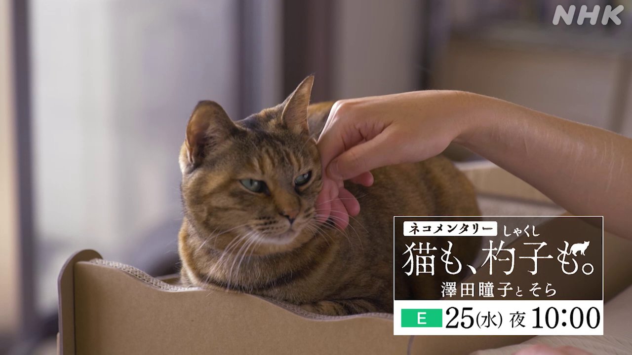 NHKドキュメンタリー on X: NHKドキュメンタリー on X: