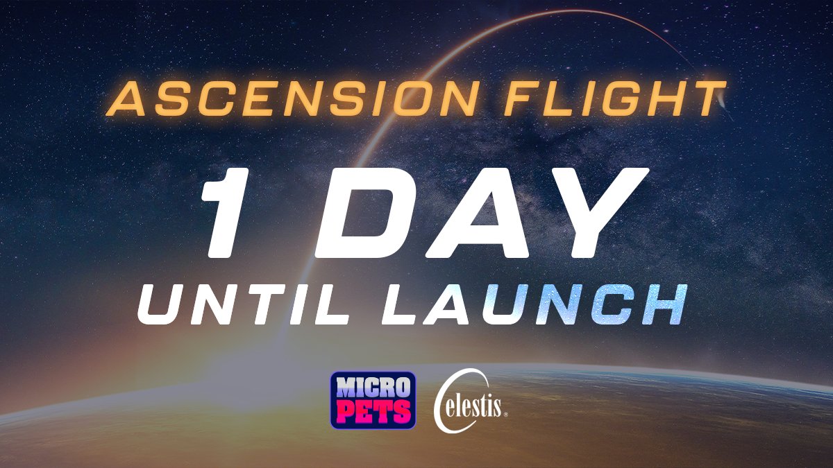 MicroPets_io's tweet photo. T-1 day left until liftoff! We are so excited for this! 🚀🚀

#MicroPets #Celestis #NFTs #Space https://t.co/mNlCxJC1rJ