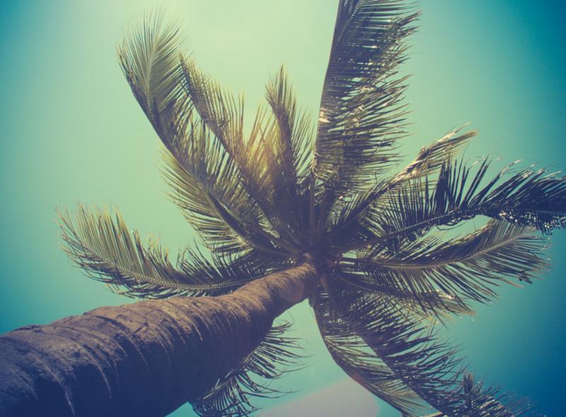 BenchmarkTrans1's tweet photo. Benchmark Transitions is pleased to be back at School Connections for the Dual Diagnosis event on May 24th #schoolconnectionsla #benchmarktransitions #mayismentalhealthmonth #inpersonmeetings @benchmarktransitions https://t.co/A2yHz2ErRK https://t.co/YP7K1s1Ift