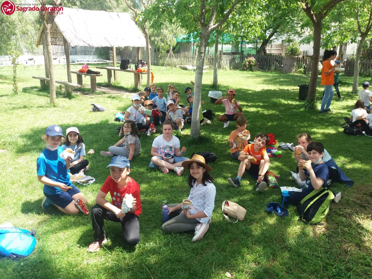 SagradoGodella's tweet image. El 12 de mayo, el alumnado de 3º Primaria visitaron una aquería de Alboraia. Allí pudieron aprender sobre los cultivos valencianos, en especial la chufa.