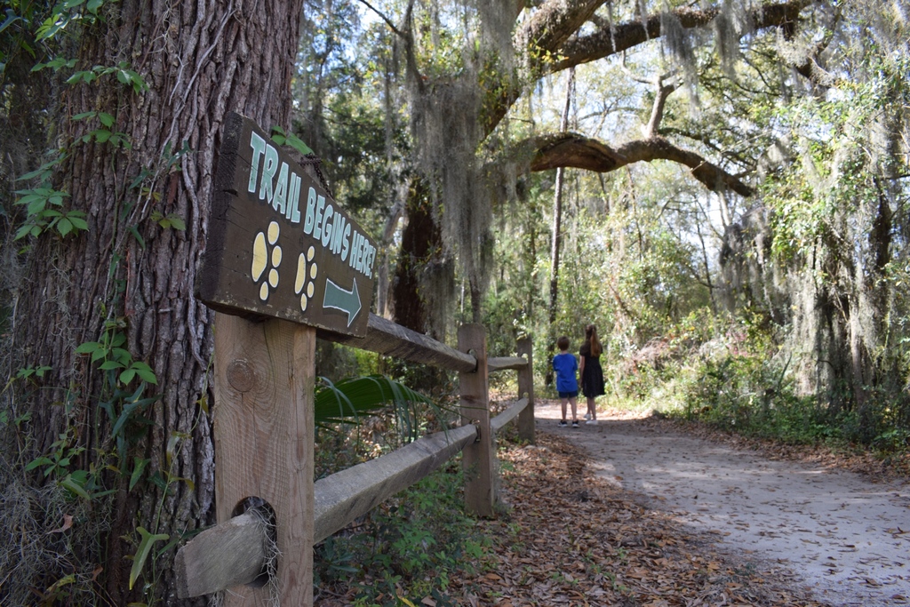 With overcast skies and maybe a few refreshing showers in the forecast, the Oatland trails are a great place to take a deep breath and recharge. 💚
#weareFOOareyou #OptOutside #SeeYouOnTheTrails #TrailTuesday #GoTakeAHike #ExploreYourBackyard #VisitSavannah #ExploreGeorgia
