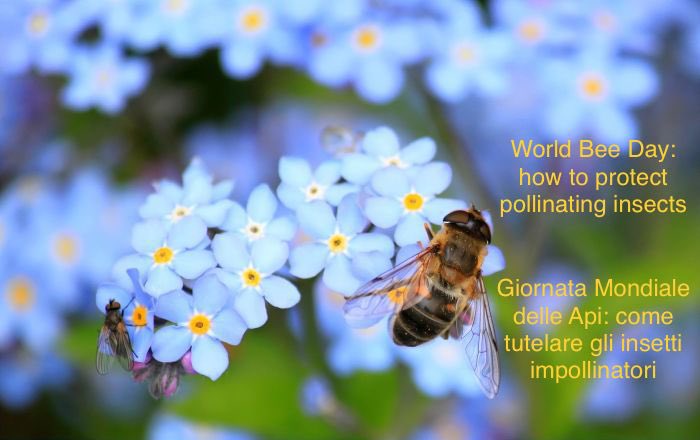 SmartgreenPost's tweet photo. A group of young researchers, is engaged in research that is taking place in various ecosystems.โก๏ธ https://t.co/6N9CoKfPeS
#beekeeping #bees #biodiversity #environment #nature #pollinatinginsects #pollination #sustainability #worldbeeday https://t.co/UgR87ap7pG