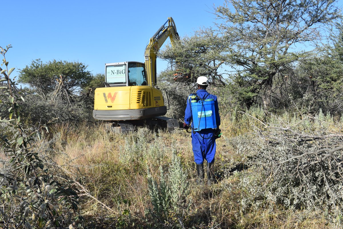 dasnamibia's tweet photo. What is bush thinning? what is Aftercare?
Head on to our website to find out more: https://t.co/v6sInNbwLh
📸 N-BiG Epafras Andreas
#bushencroachment#bushthinning#aftercare#NBiG https://t.co/UEBEv8x88Y