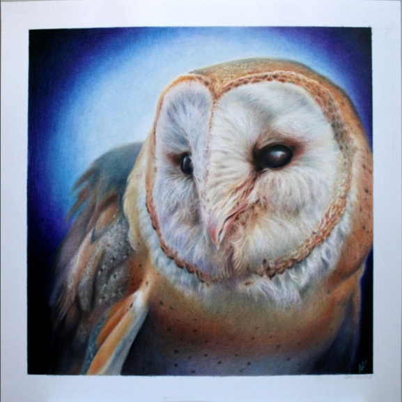 MPatersonArt's tweet photo. Barn Owl, colored pencil on smooth bristol, 12"x12".

#ArtistOnTwitter #artwork #CanadianArtist #wildlifeArt #coloredPencilArt #coloredPencilPainting #coloredPencil #owl #owlArt #handDrawn #drawing https://t.co/WwoDXDhj4c