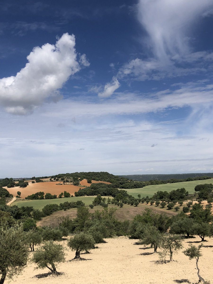 Mvaldi44's tweet photo. La Mancha ❤️ https://t.co/KQwuPlZhGC