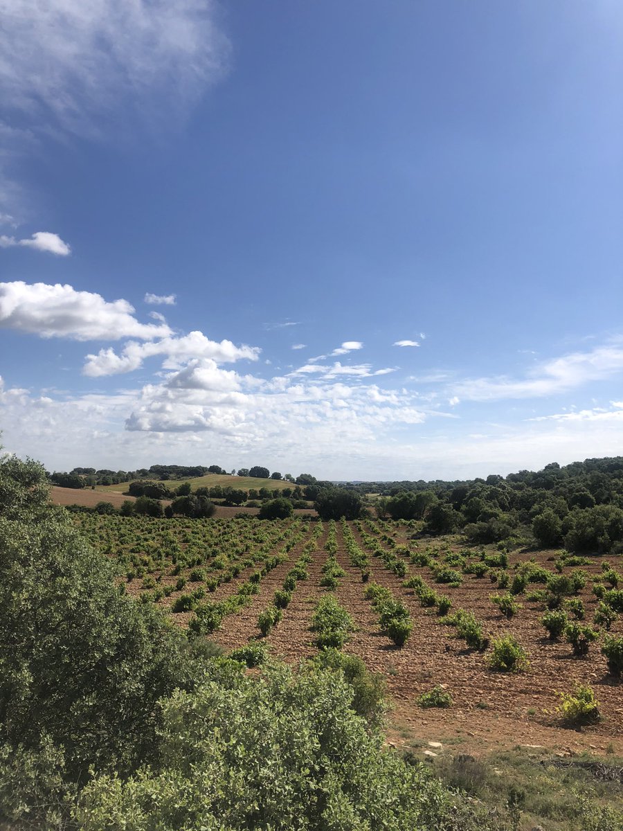 Mvaldi44's tweet photo. La Mancha ❤️ https://t.co/KQwuPlZhGC