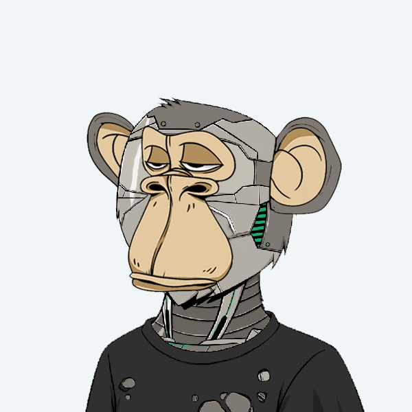 Really Not Okay Bears tweet media