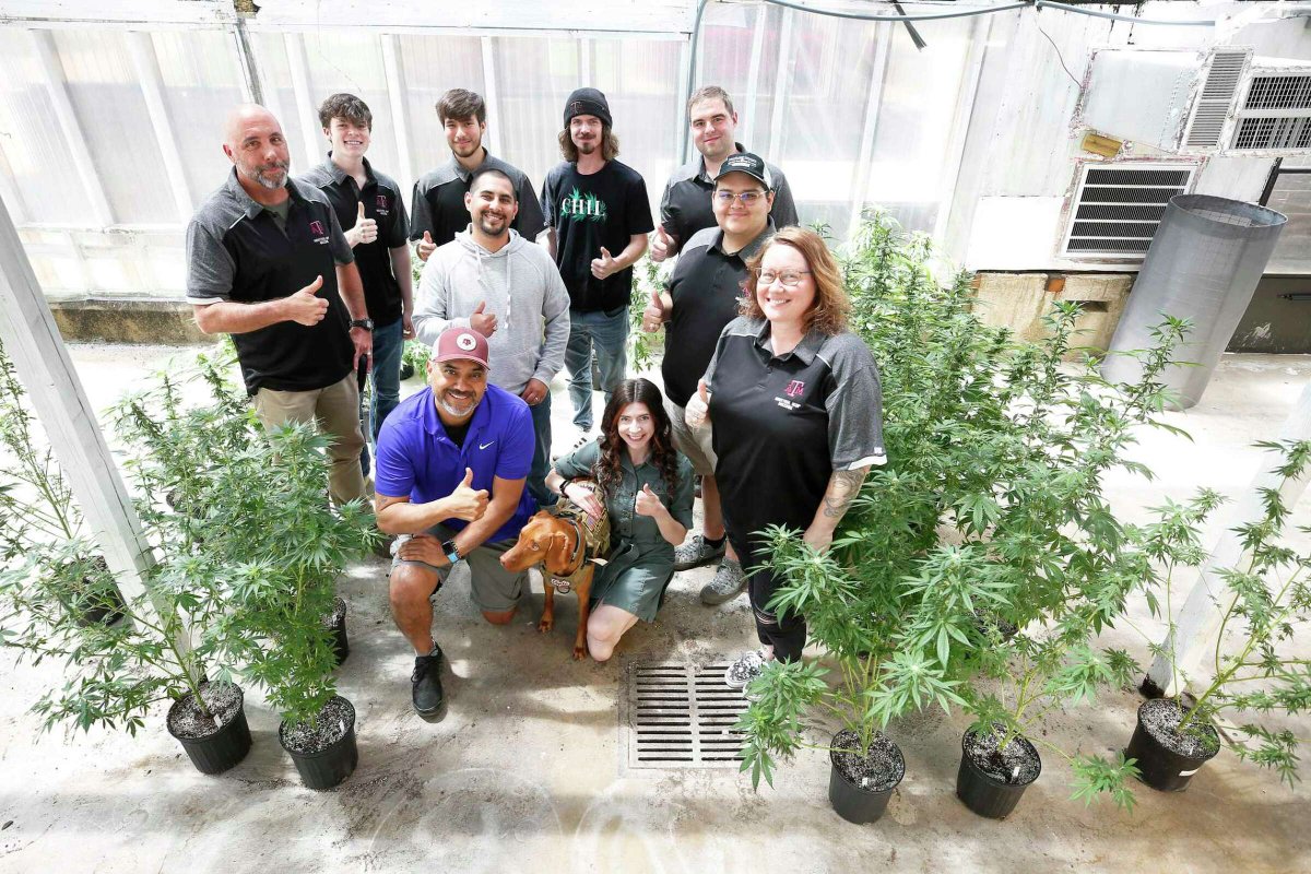 TAMU's tweet photo. On a corner of west campus, there is a greenhouse full of legal cannabis. 🌱

#Hemp could soon be a billion-dollar industry — so @aglifesciences researchers and students are leading the charge to study and grow it in Texas. #tamu

@HoustonChron: https://t.co/j5joAbdQDo https://t.co/sjT7xKloie